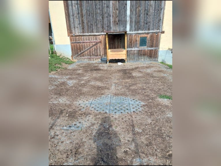 Paddockplatten/Kunststoffplatten von Pegasus Paddock