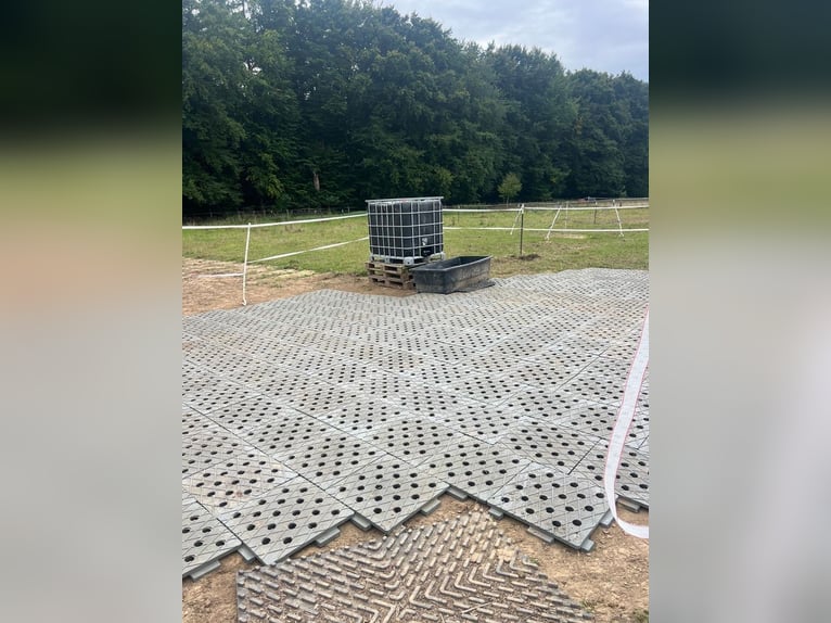 Paddockplatten/Kunststoffplatten von Pegasus Paddock