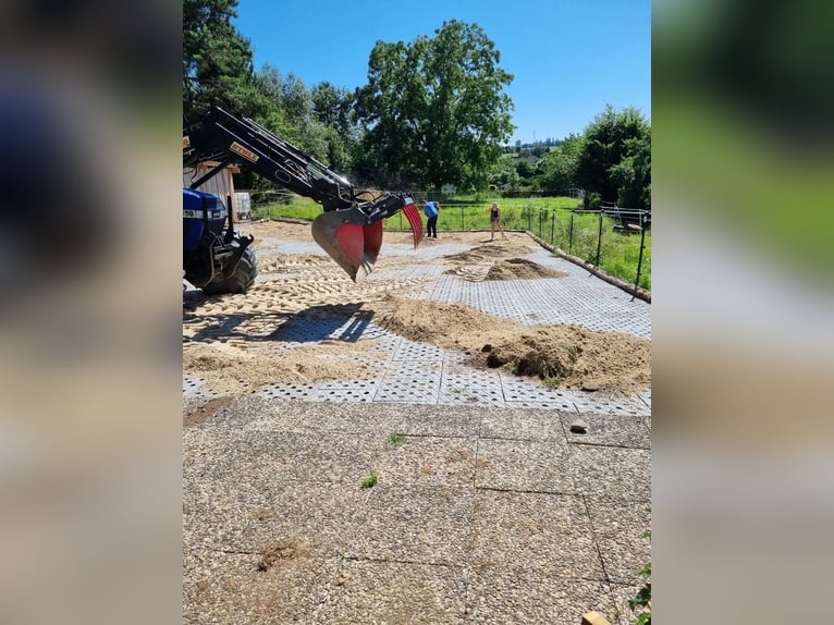 Paddockplatten/Kunststoffplatten von Pegasus Paddock