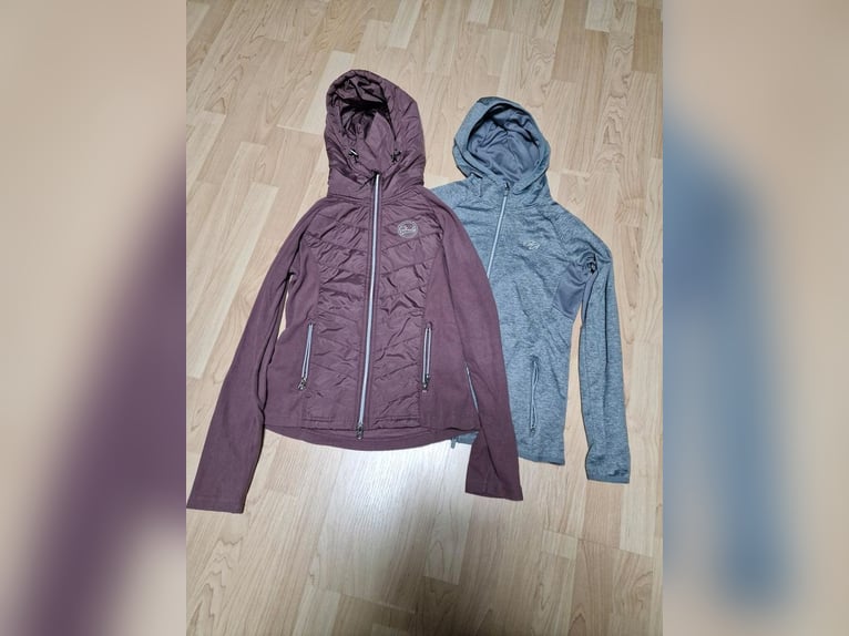 Passier Sattel Dressur