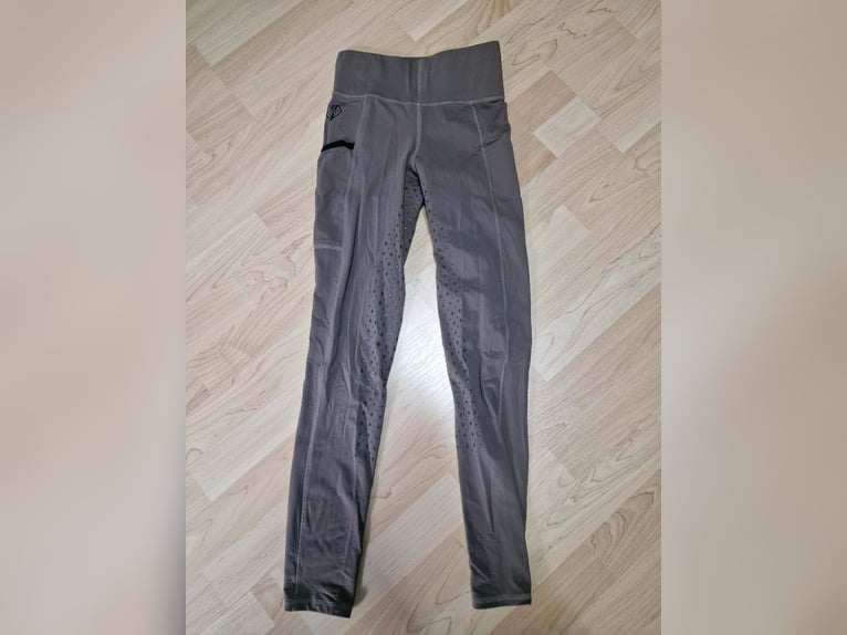 Passier Sattel Dressur