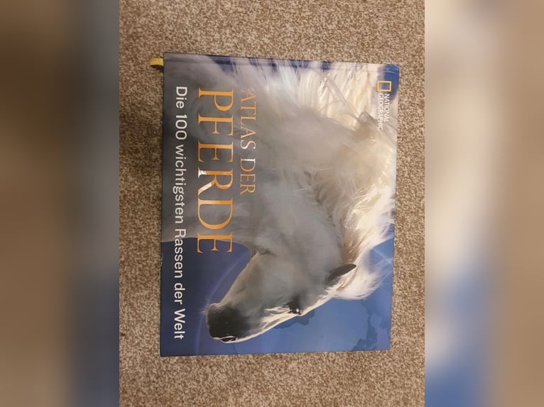Pferde Putzset