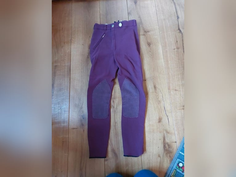 Prestige Reithose weiß 40
