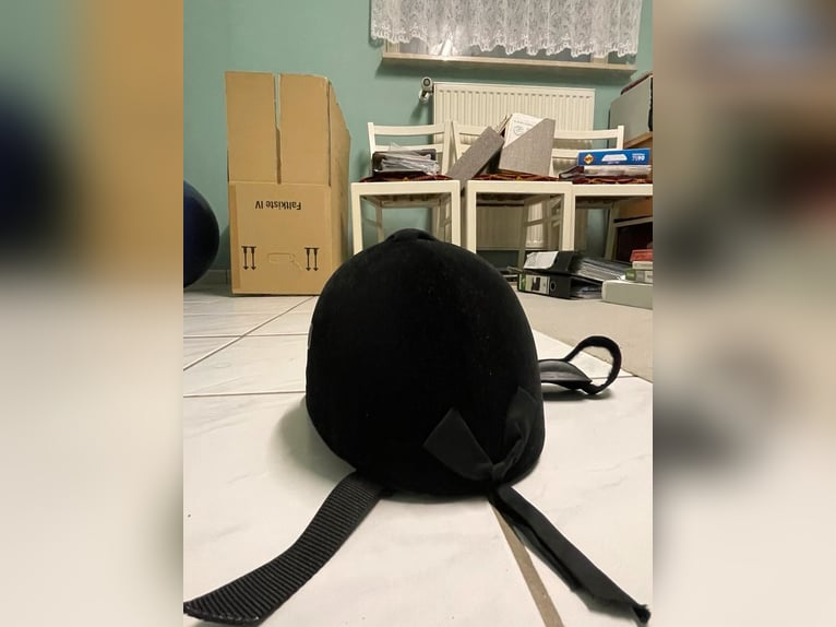 Reit Turnierbluse und Turnierhandschuhe weiß