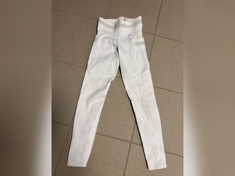 Reit Turnierbluse und Turnierhandschuhe weiß
