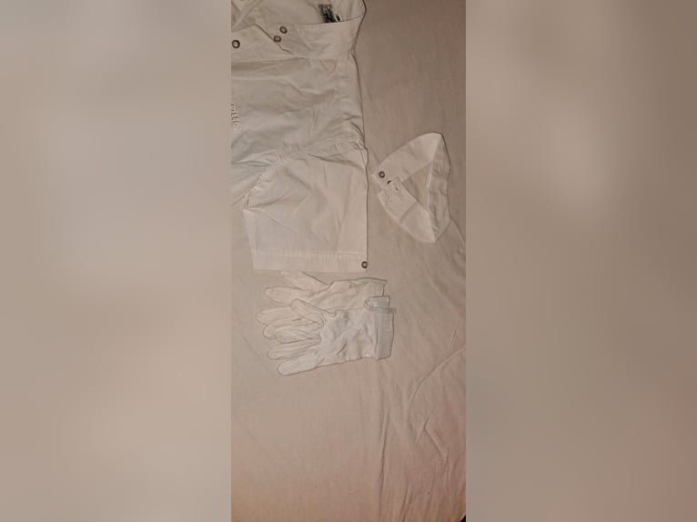 Reit Turnierbluse und Turnierhandschuhe weiß