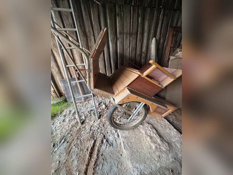 Reitbeteiligung an Shettys