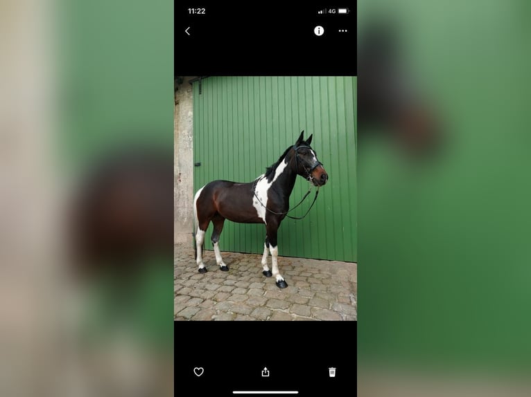 Reitbeteiligung in Vlotho-Valdorf