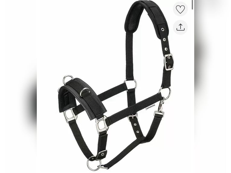 Reitchaps, schwarz, Gr. S