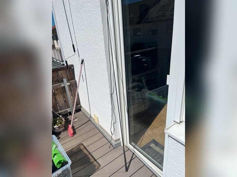 Reitchaps, schwarz, Gr. S