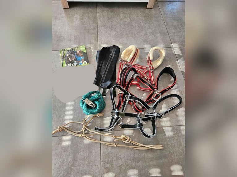 Reiten Pferd, Halfter, Strick, Zubehör SET