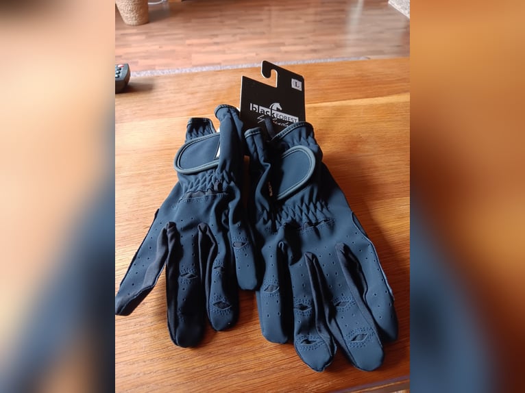 Reithelm und Handschuhe 