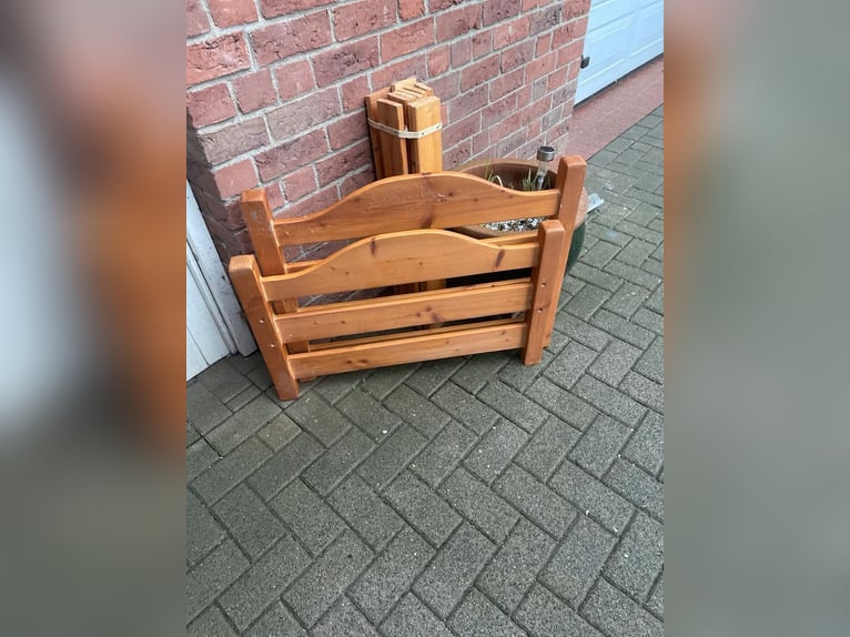 Reitlehrer/in gesucht