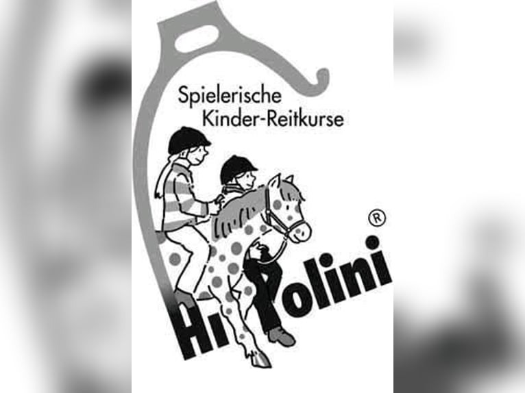 Reitlehrer/in gesucht