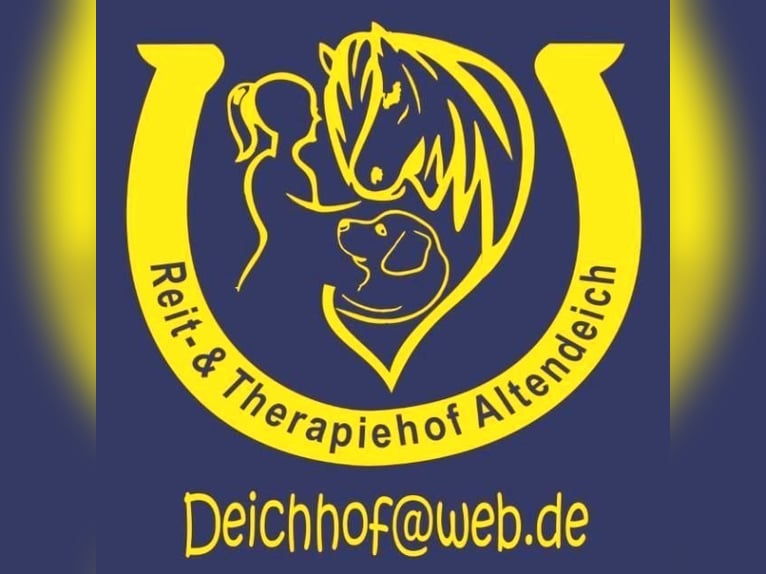 Reitlehrer/in gesucht