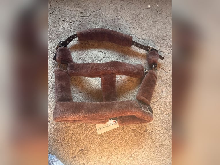 Reitlehrer/in gesucht