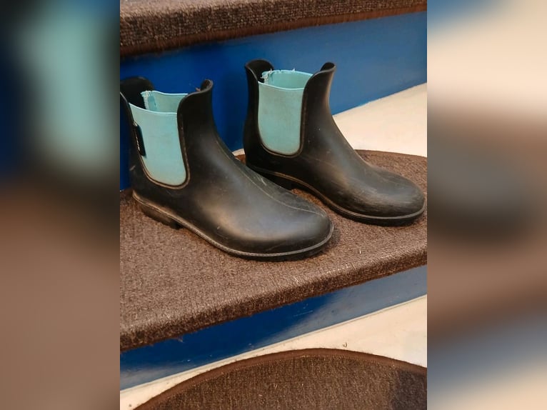 Reitschuhe von Steeds Größe 35