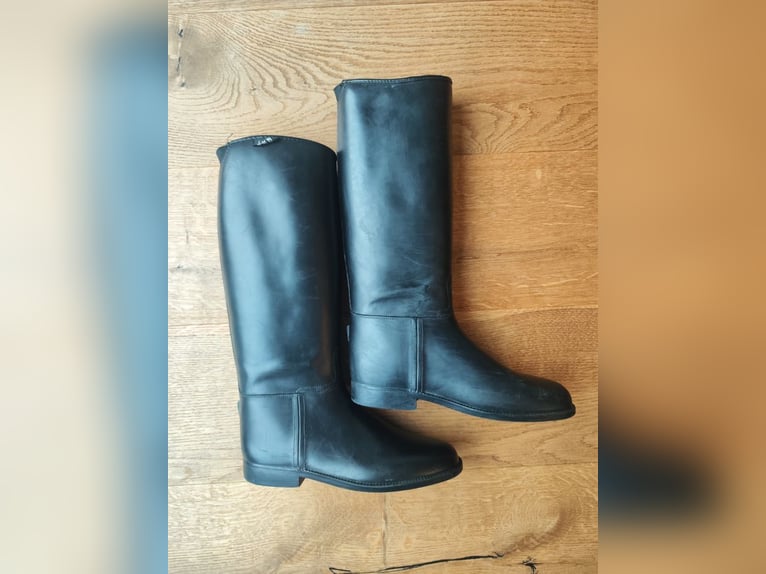Reitstiefel Firma HKM in Gr 34