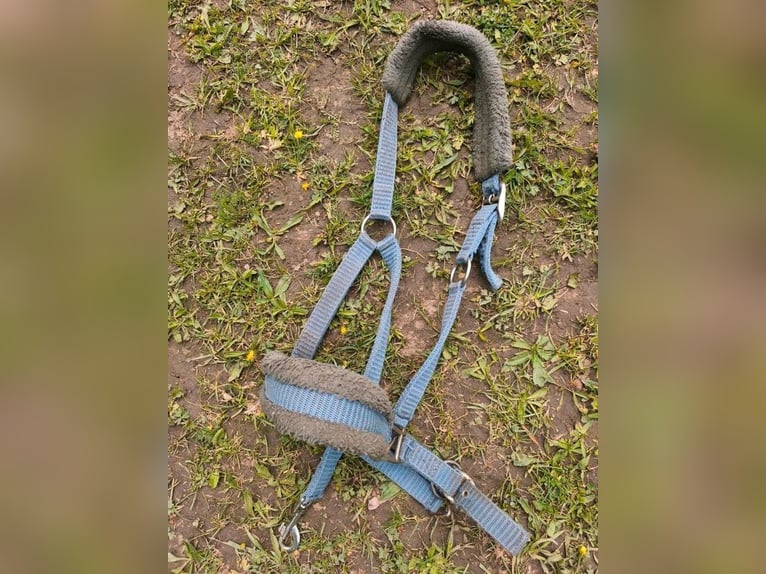 Reitstiefel Größe 29