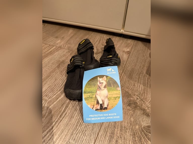 Reitstiefel Größe 29