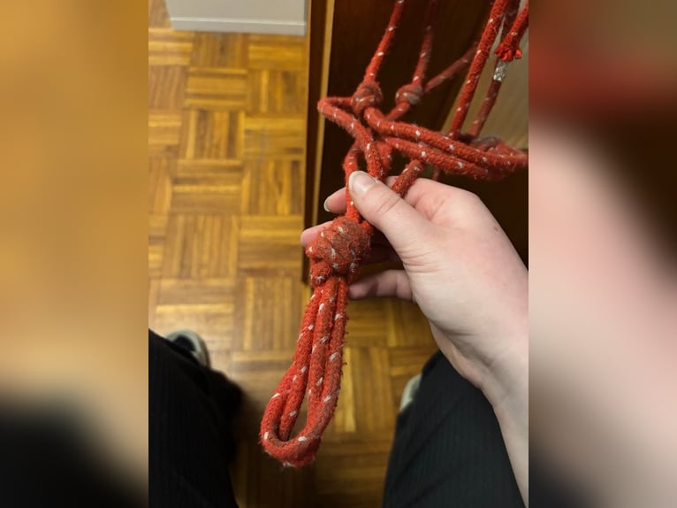 Rotes Knotenhalfter mit weißen Punkten Gr.WB