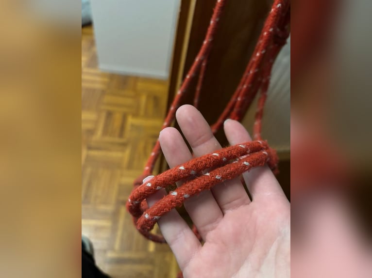 Rotes Knotenhalfter mit weißen Punkten Gr.WB