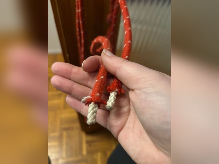 Rotes Knotenhalfter mit weißen Punkten Gr.WB