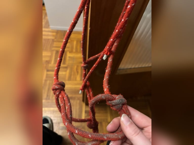 Rotes Knotenhalfter mit weißen Punkten Gr.WB