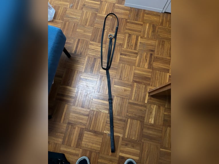 Rotes Knotenhalfter mit weißen Punkten Gr.WB