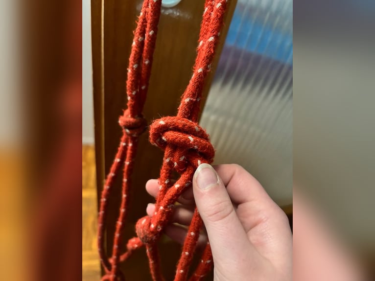 Rotes Knotenhalfter mit weißen Punkten Gr.WB
