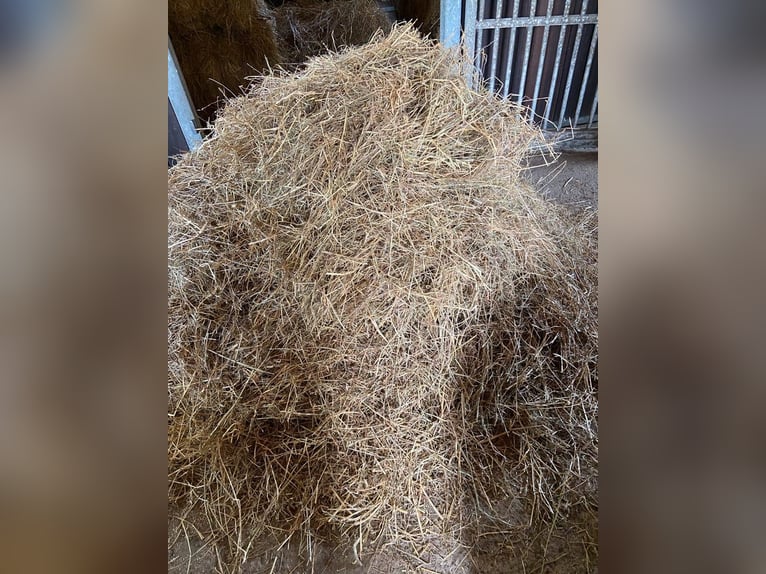 Rundballen heu