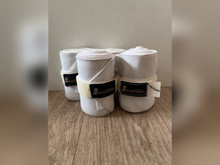Sattelgurt 1,15
