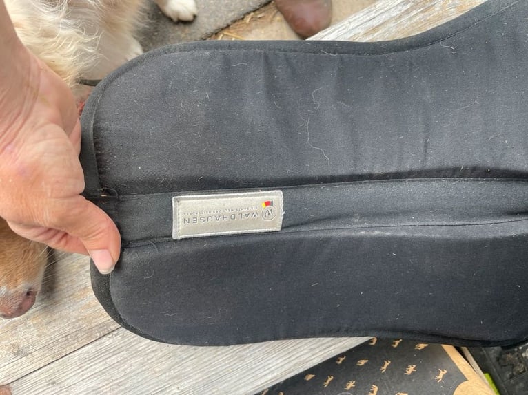 Sattelpads zu verkaufen