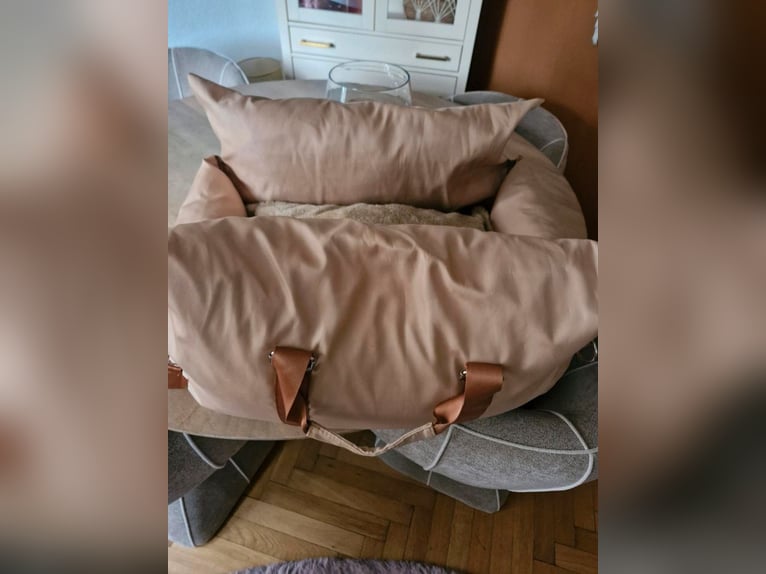 Sattelpads zu verkaufen