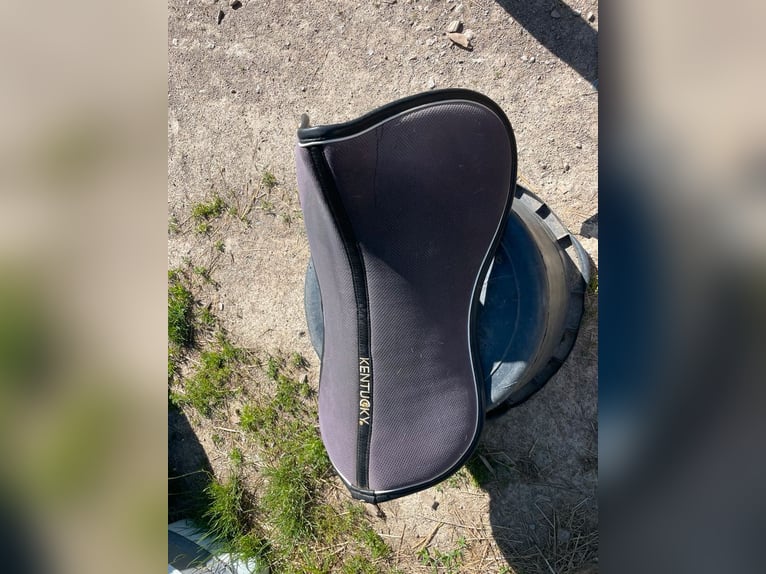 Sattelpads zu verkaufen