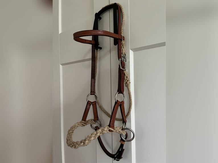 Sattelschrank