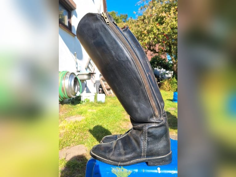 Saturn Reitstiefel