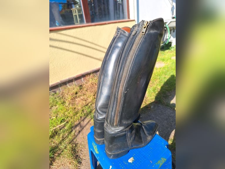 Saturn Reitstiefel