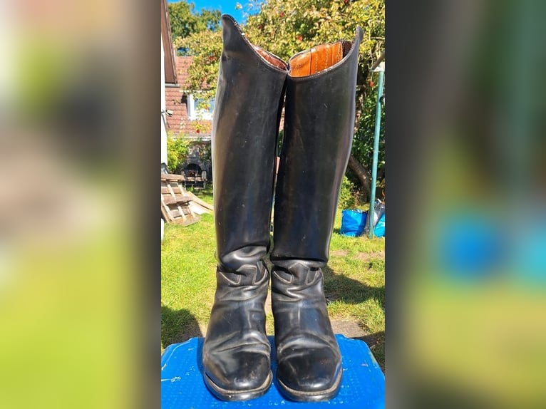 Saturn Reitstiefel