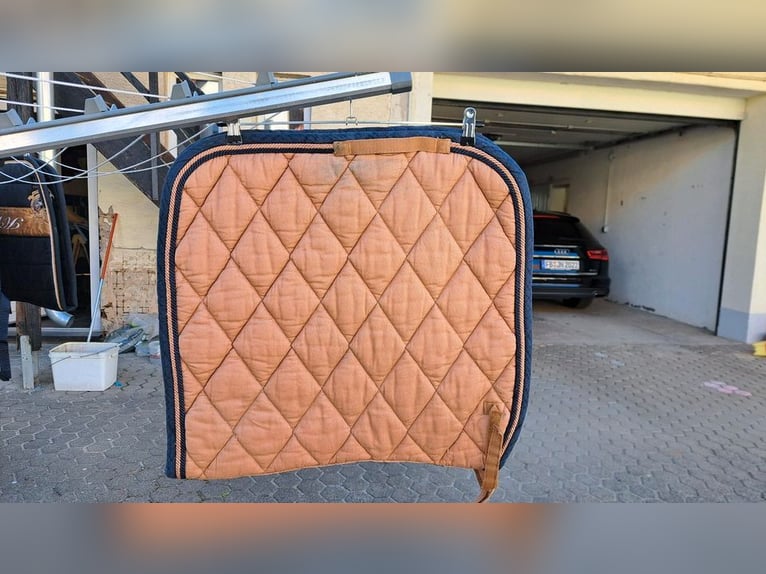 Schabracke Dressur