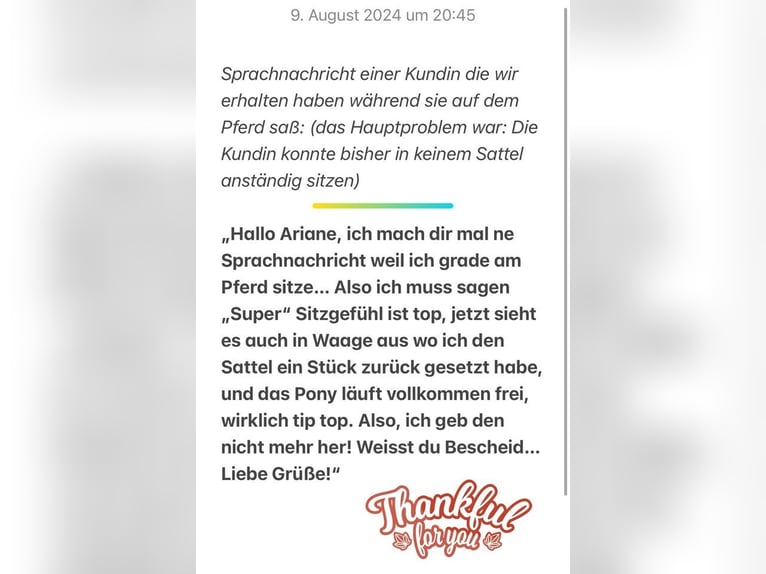 Schluss mit Rutschen! Sattel-Set für Isländer Tinker breite Ponys