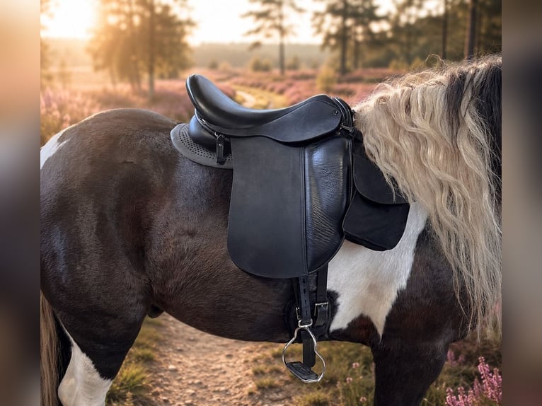 Schluss mit Rutschen! Sattel-Set für Isländer Tinker breite Ponys