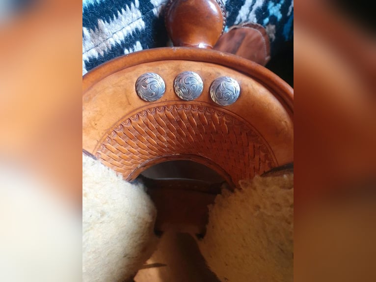 Showsattel Westernsattel Blue Ribbon