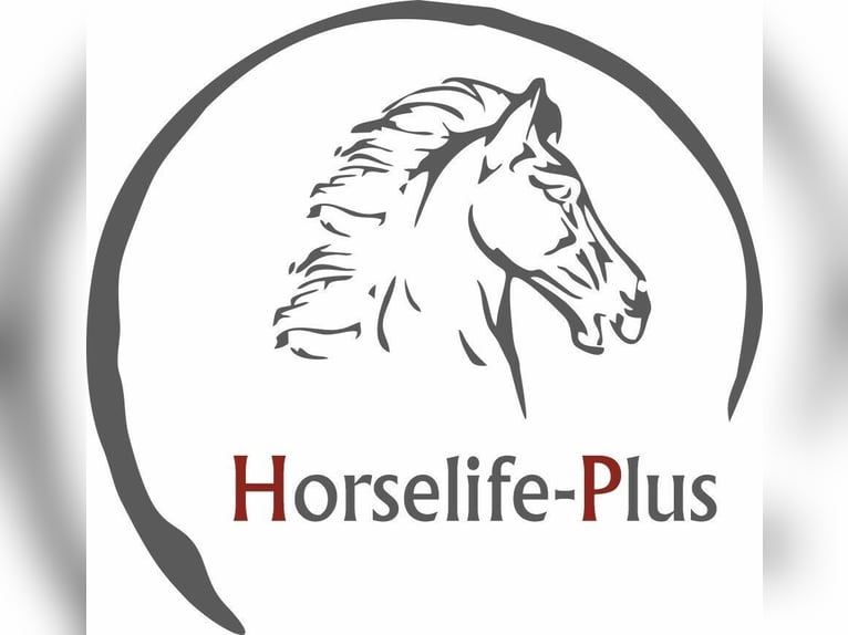 Slowfeeder HeuProtect HP-150 von Horselife-Plus, das Original