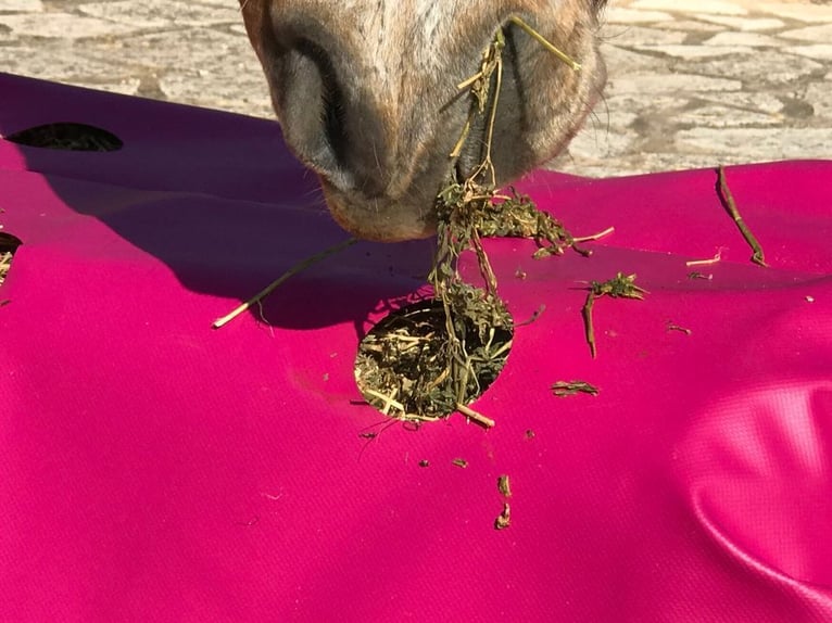 Slowfeeder HeuProtect HP-150 von Horselife-Plus, das Original