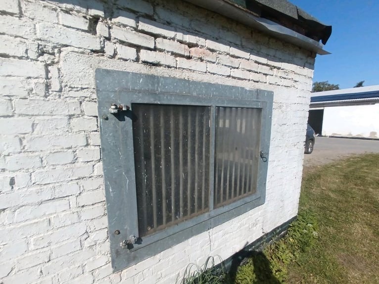 Stallfenster boxenfenster paddockfenster