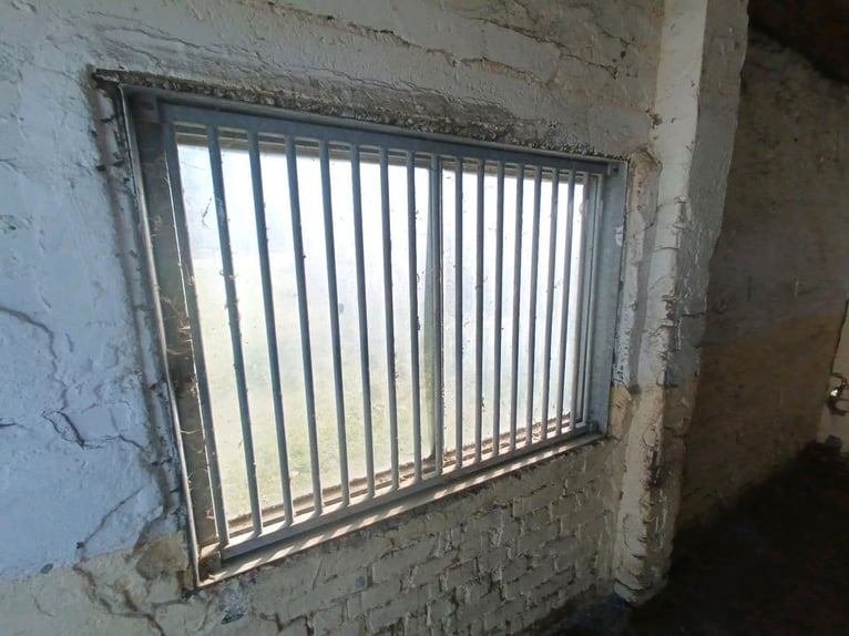 Stallfenster boxenfenster paddockfenster