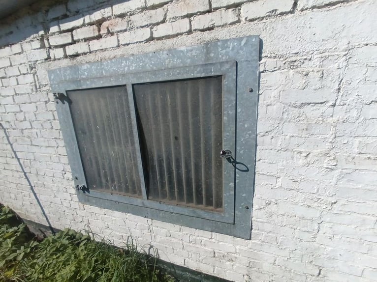 Stallfenster boxenfenster paddockfenster