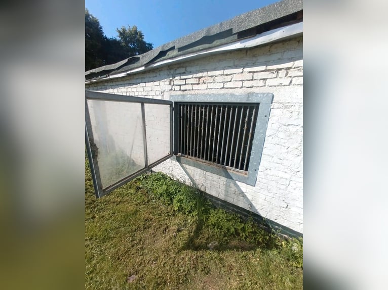 Stallfenster boxenfenster paddockfenster