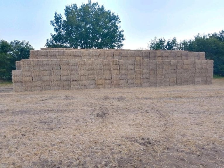 Stroh Roggenstroh Quaderballen